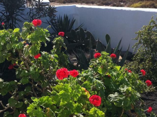 Casa Callao Famara Dış mekan fotoğraf